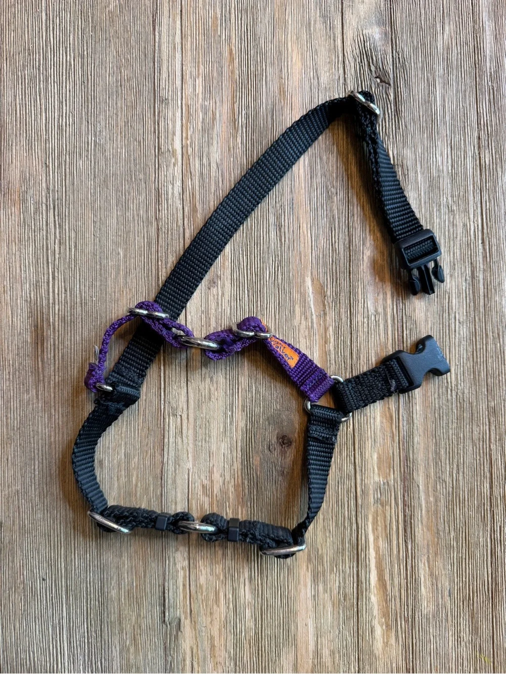 Wonder Walker Dog Harness Purple XS